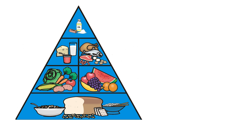 Пищевая пирамида 5 класс технология рисунок