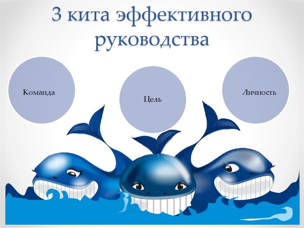 3 кита картинки