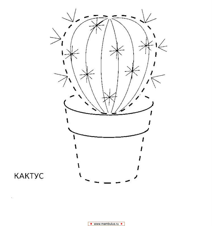 Кактус для срисовки милый рисунок