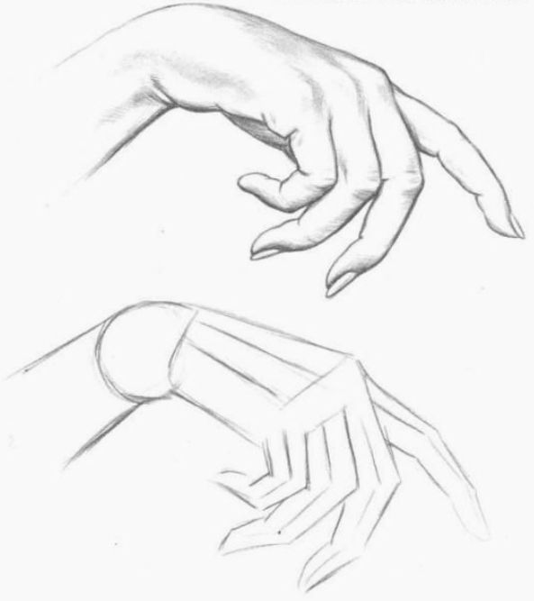 Нарисовать руку человека