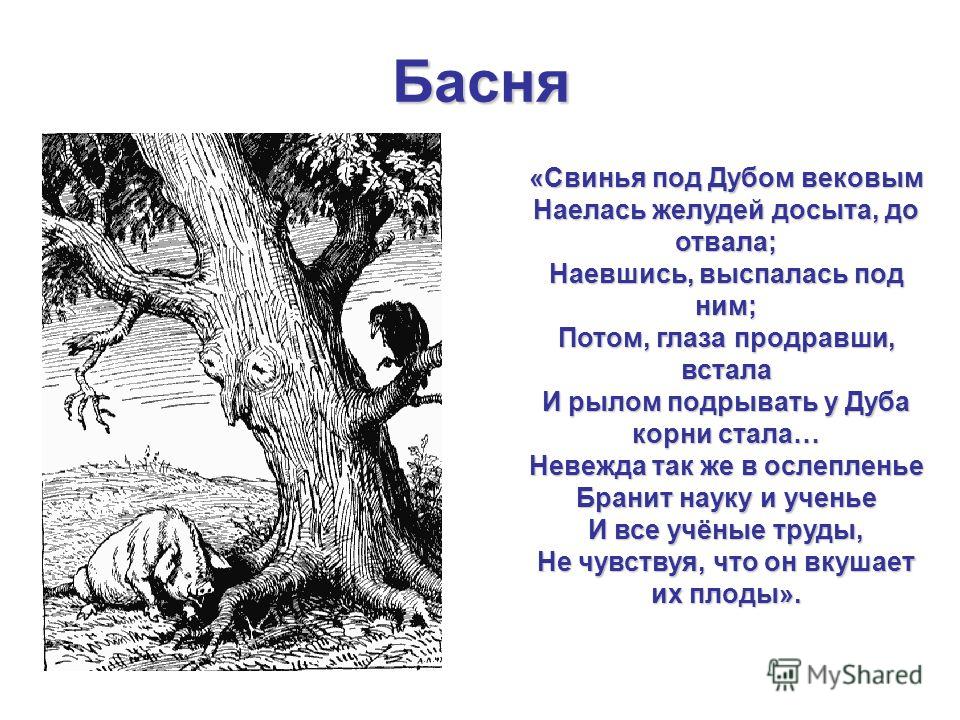 Свинья под дубом крылова текст. Свинья под дубом басня Крылова. Свинья под дубом басня Крылова 5 класс. Свинья под дубом вековым Крылов. Крылов свинья под дубом басня.