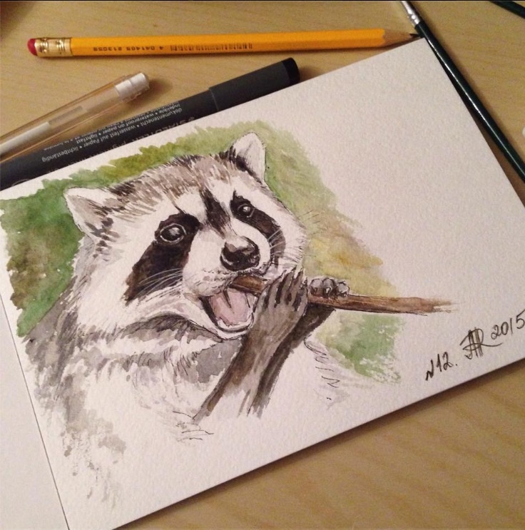 Как рисовать енота простым карандашом