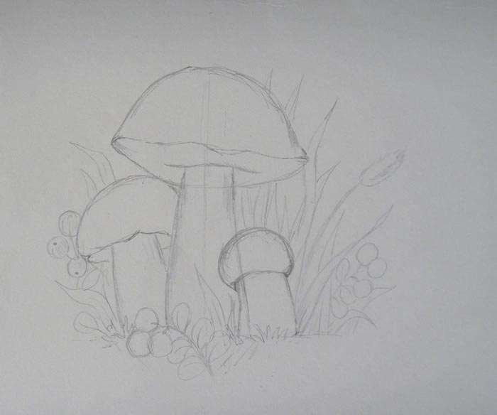 mushrooms 06