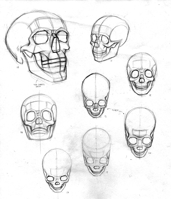 Как рисовать череп по этапно