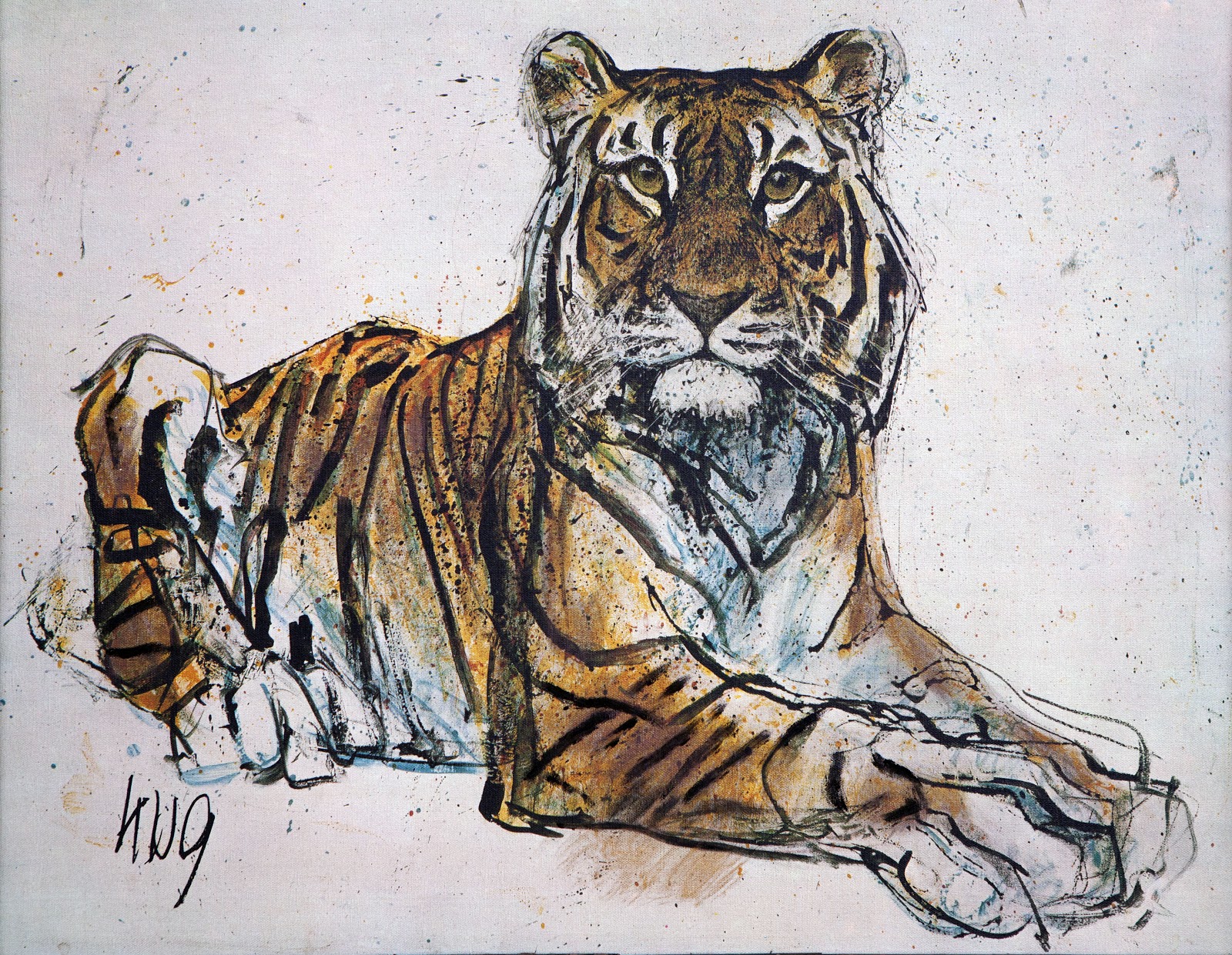 Тигр лежит рисунок карандашом