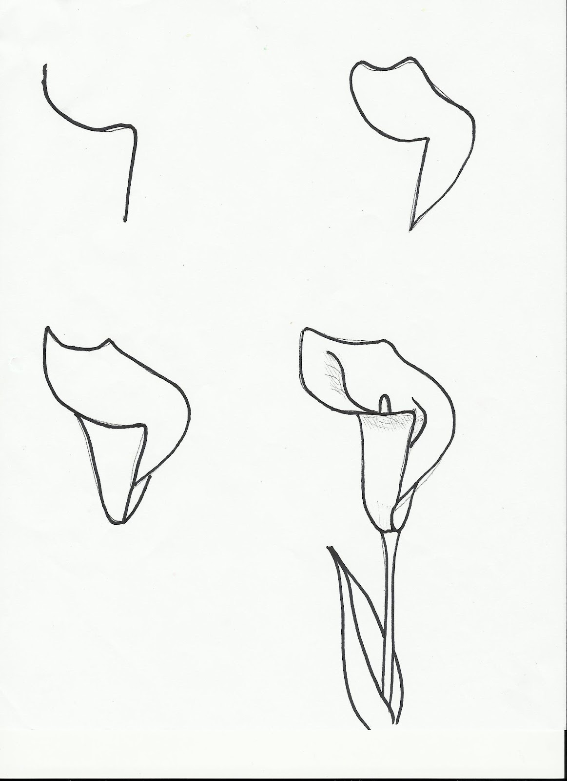 Calla+Lily+001