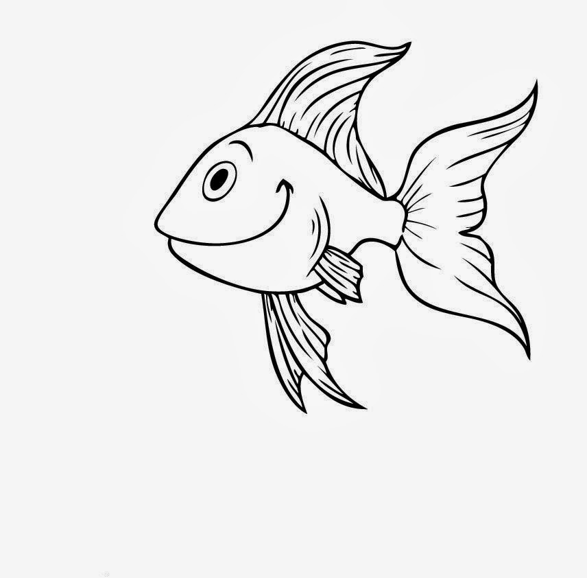 how to draw a cartoon goldfish step 5 1 000000011529 5