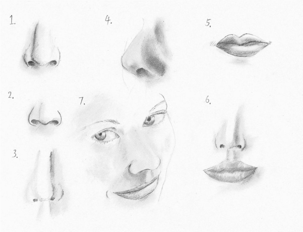 Рисование носа карандашом