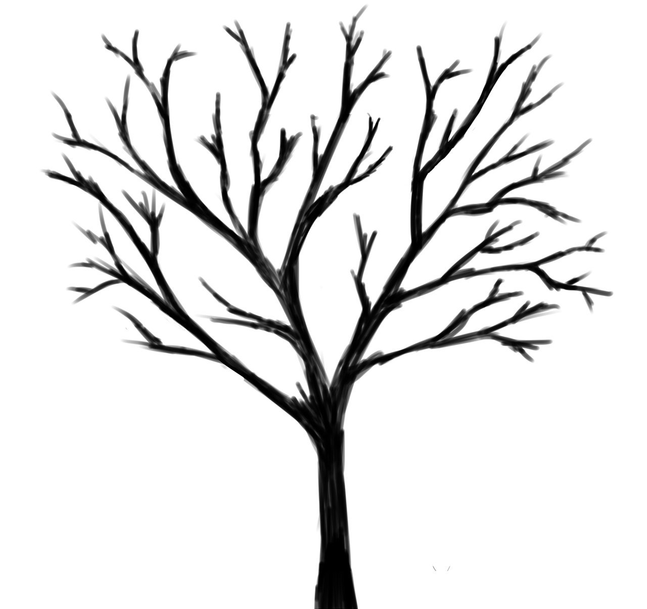 Дерево без листьев на белом фоне