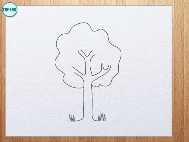 how to draw a tree for kids kfJC o