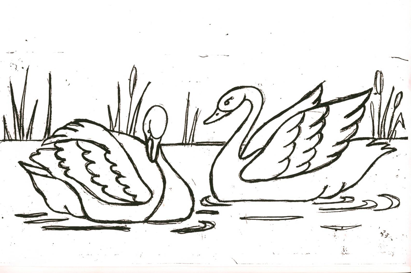 Рисование лебеди на озере
