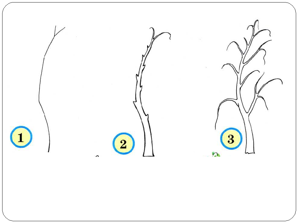 Нарисовать березу 2 класс