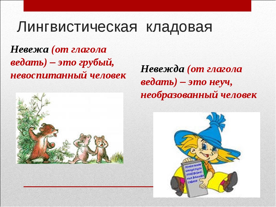 Что обозначает слово невежа. Невежа. Рисунок и невеждавежда. Невежа рисунок.