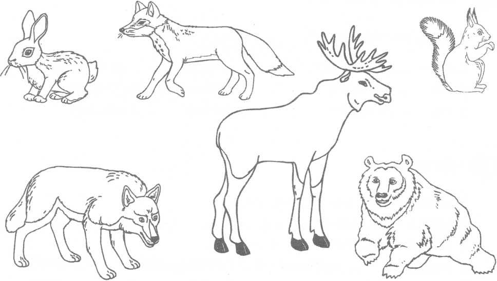 Рисунки для детей животные раскраски для детей