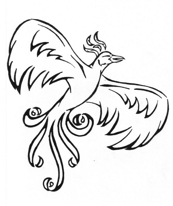 7b84fd34b9d5fea16d7d4350c3530896 phoenix tattoo design phoenix tattoos