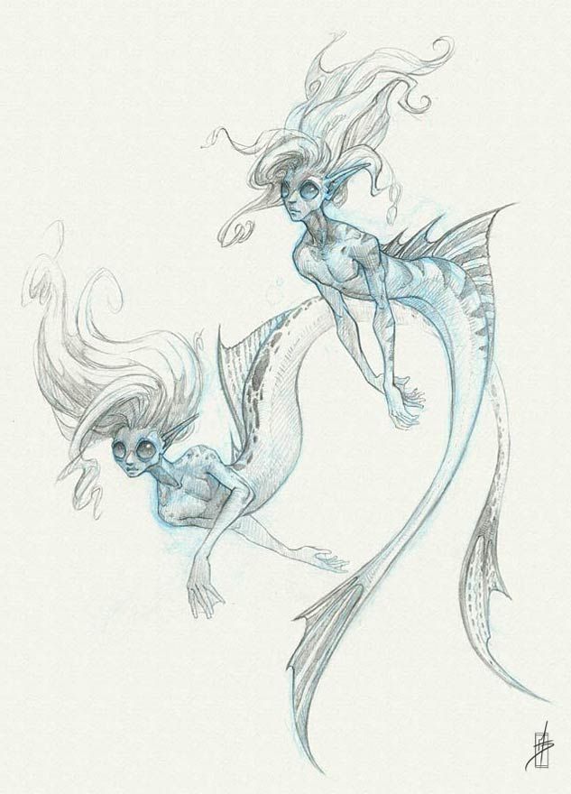 b7bde6eb8715086c687898e8898d5eb9 mermaid sketch catfish