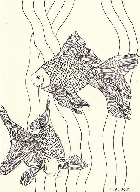 e08268ee01be445568920b1d1ef87690 goldfish tattoo goldfish drawing