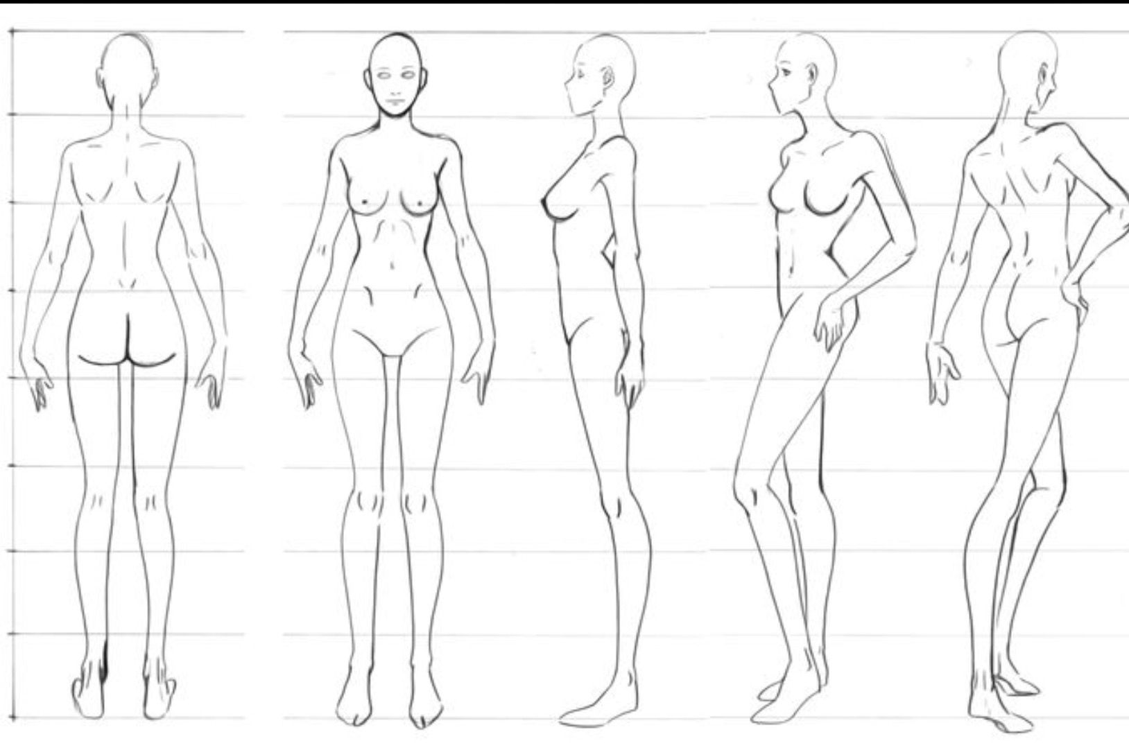 Пропорции женского тела для рисования