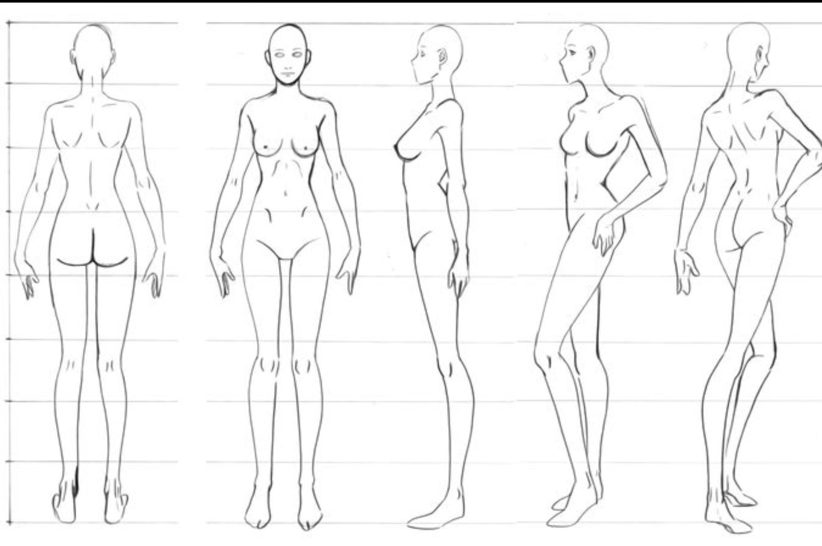 Пропорции девушки для рисования