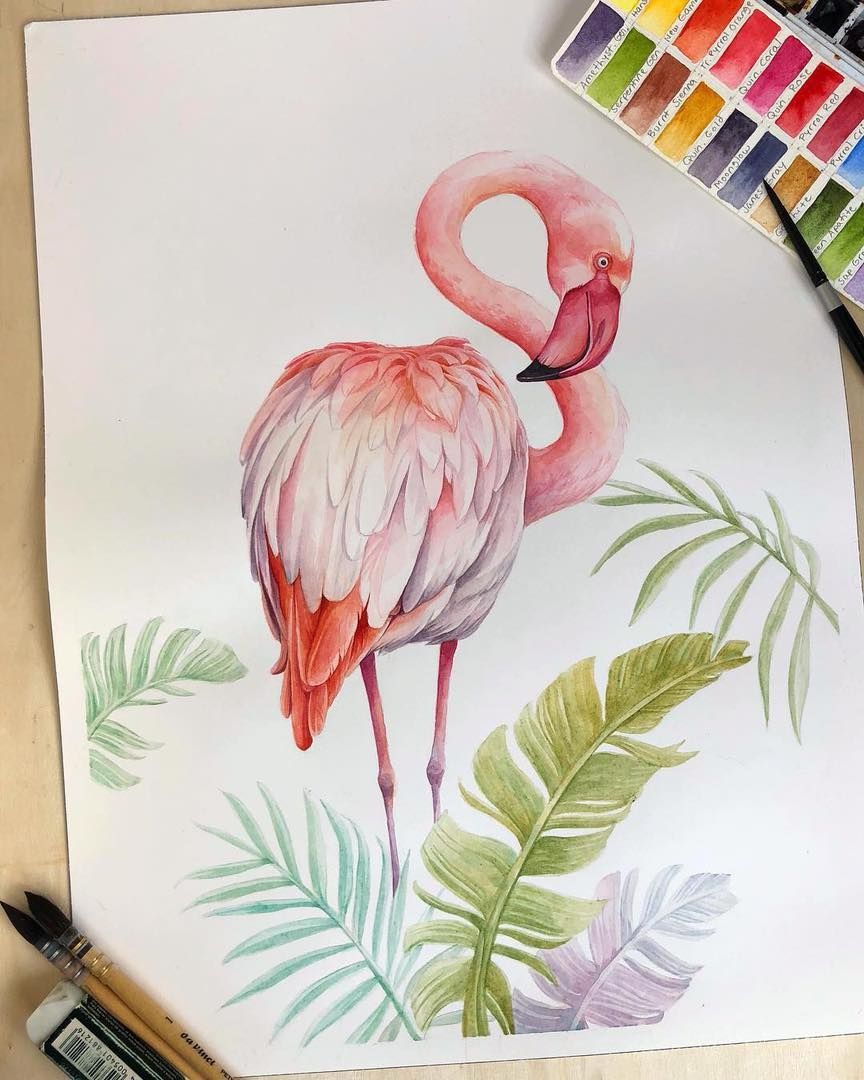 Рисуем фламинго гуашью