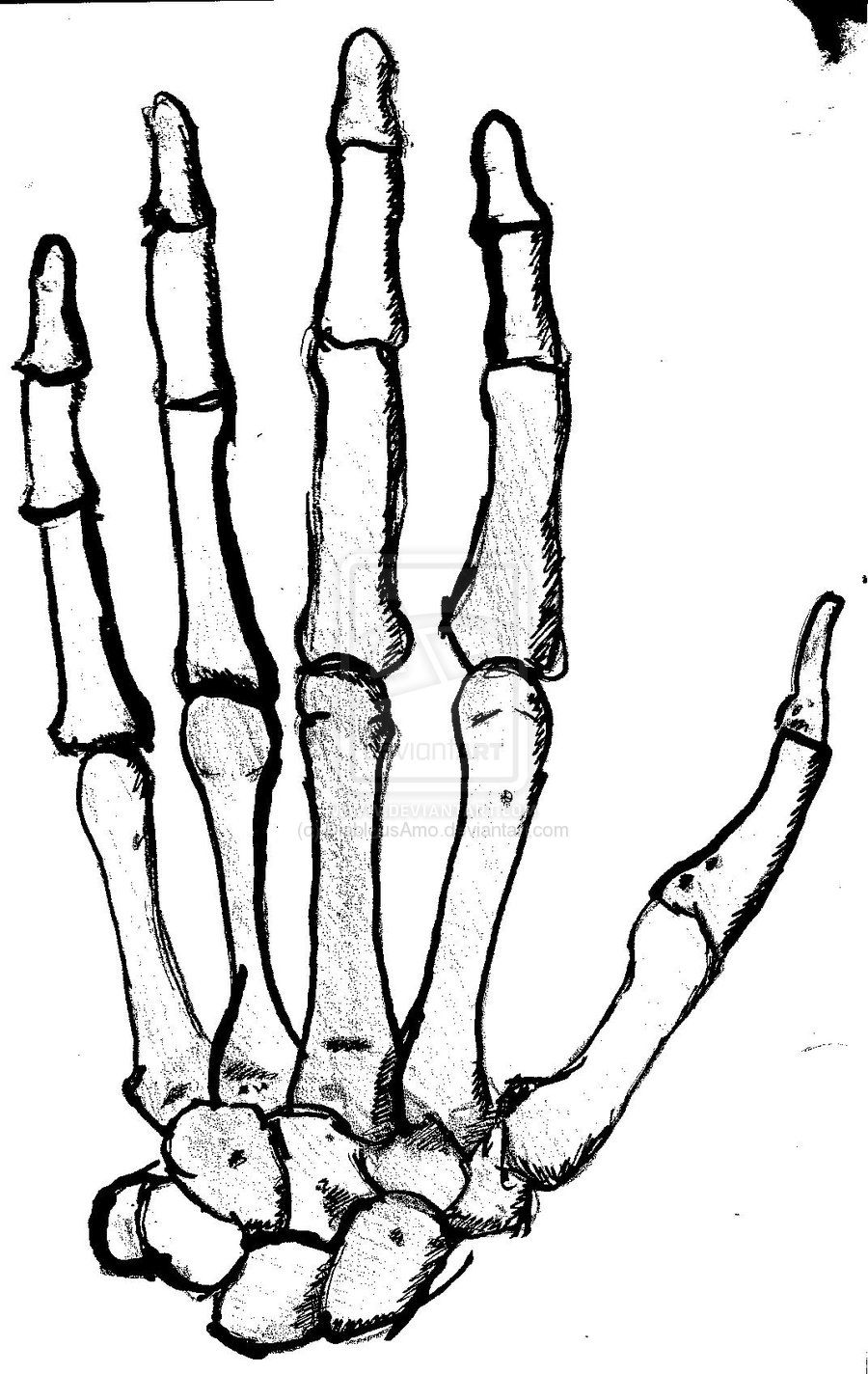 Скелет на руке нарисовать