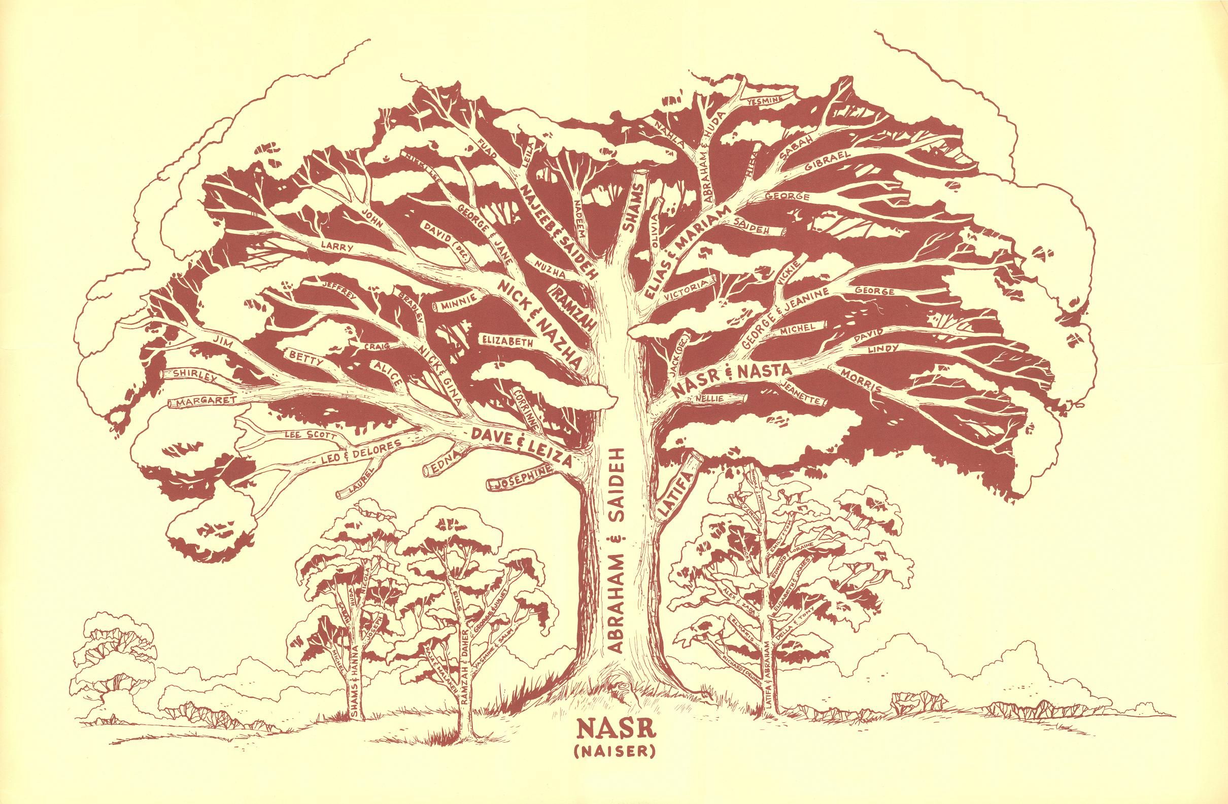 Аудиокнига древо 2 слушать. Дерево Древо. Дерево для генеалогического древа. Родословное дерево с корнями. Генеалогическое Древо дуб.