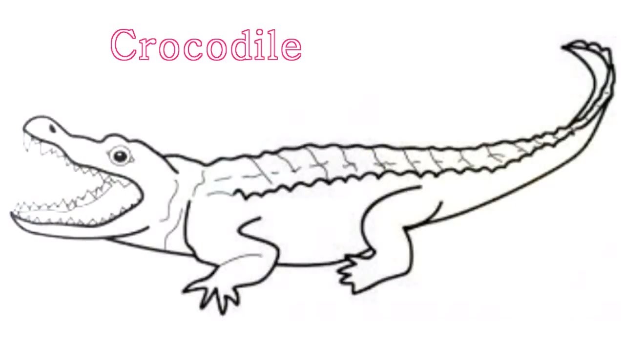 Как рисовать крокодила поэтапно