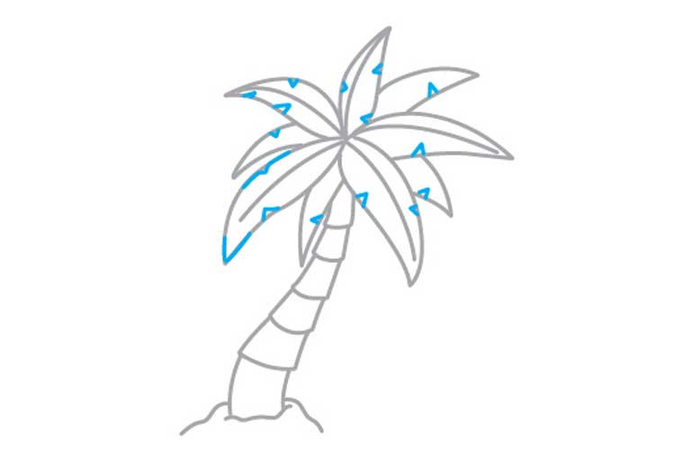 How to draw a palm tree 6