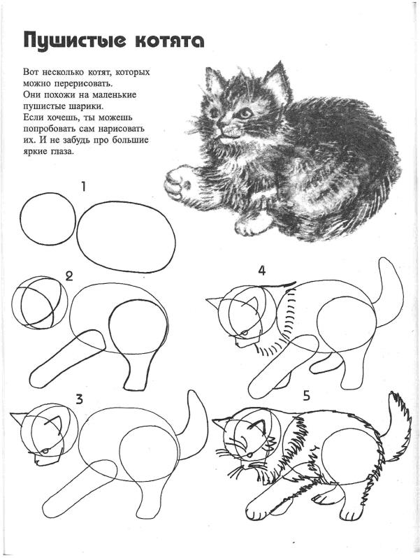 Как нарисовать кошку для детей 8 лет