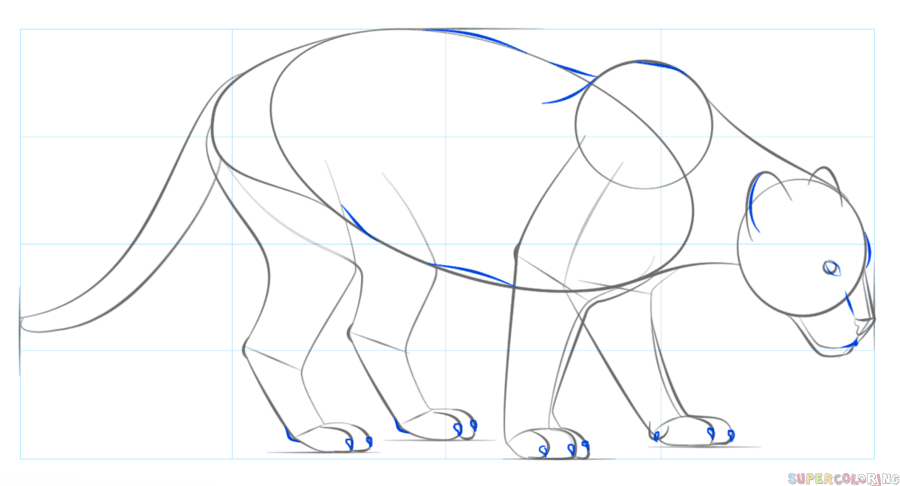 Как рисовать пантеру