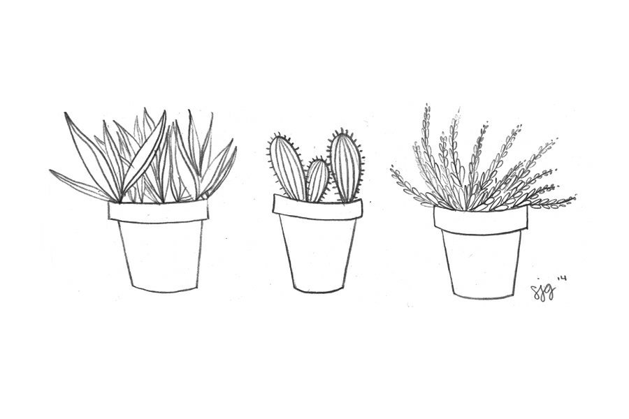 Картинки для срисовки растения
