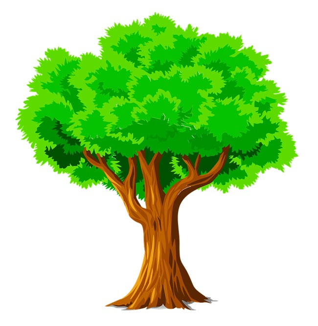 Рисунок дерево для детей 3 4 лет