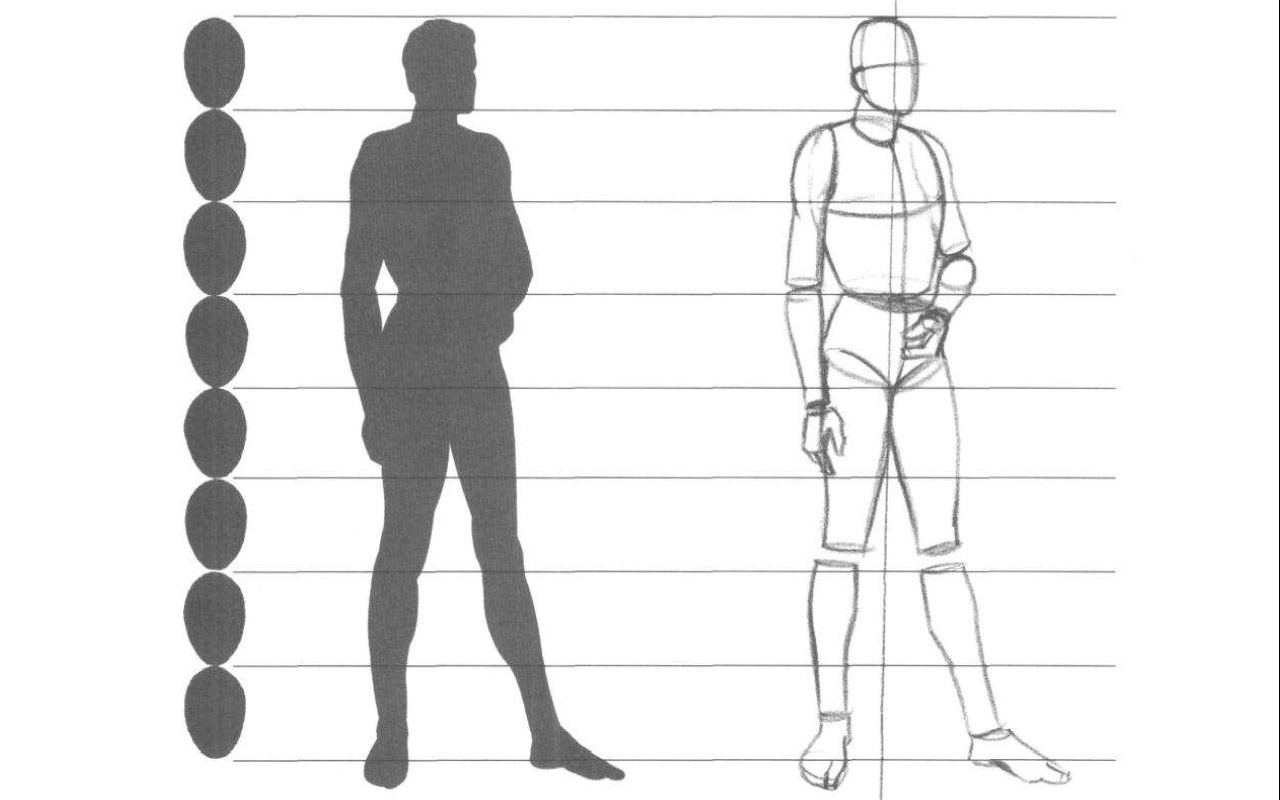 8 частей человека. Изображение фигуры человека. Человек рисунок. Фигура человека рисунок. Фигура человека для рисования.