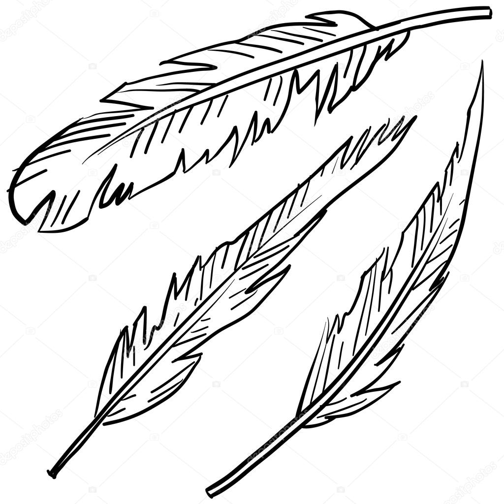 depositphotos 13922500 stock illustration bird feathers sketch