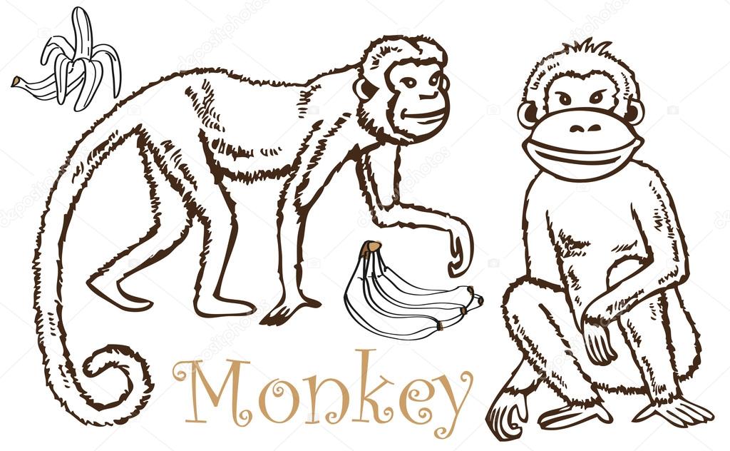 depositphotos 66713913 stock illustration monkey and bananas drawing