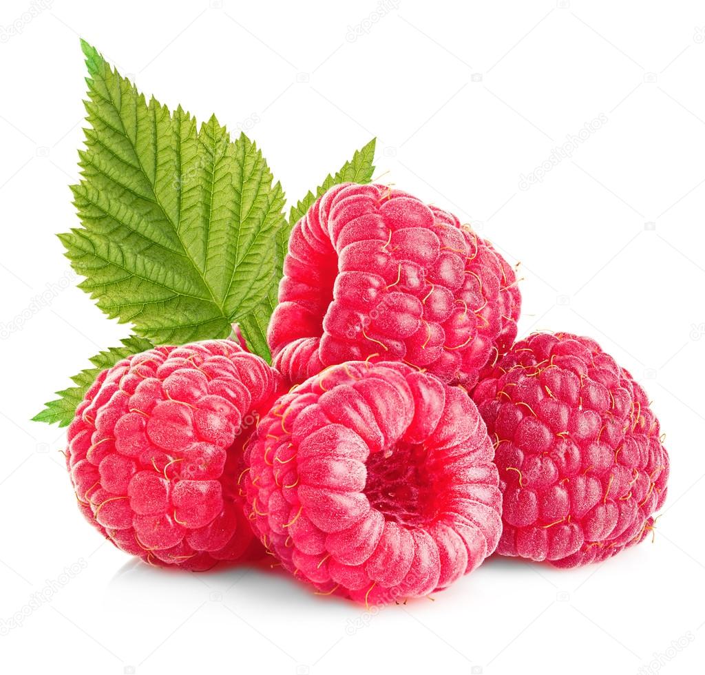 depositphotos 118265972 stock photo raspberries with leaves close up