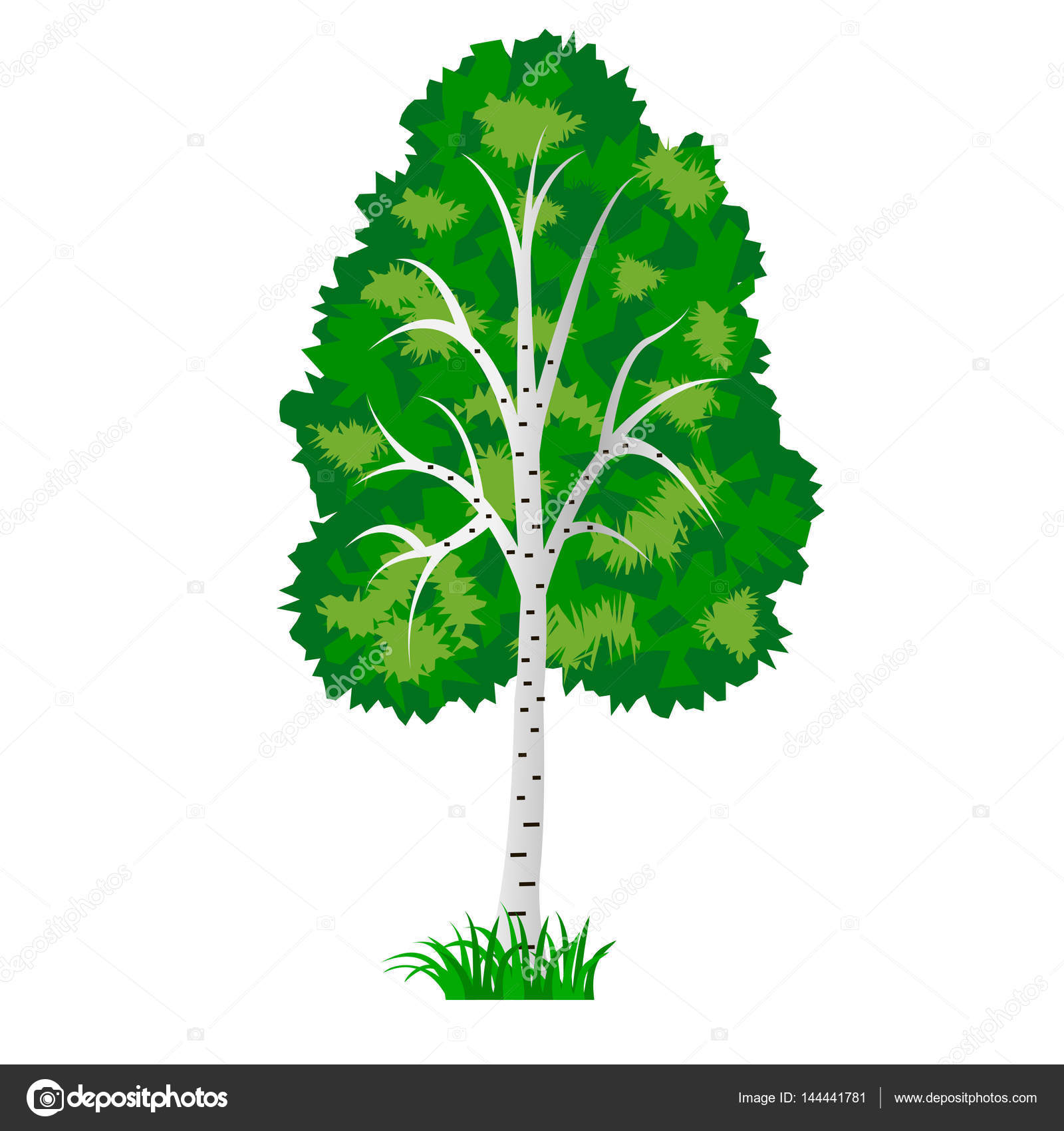 depositphotos 144441781 stock illustration birch tree isolated on white