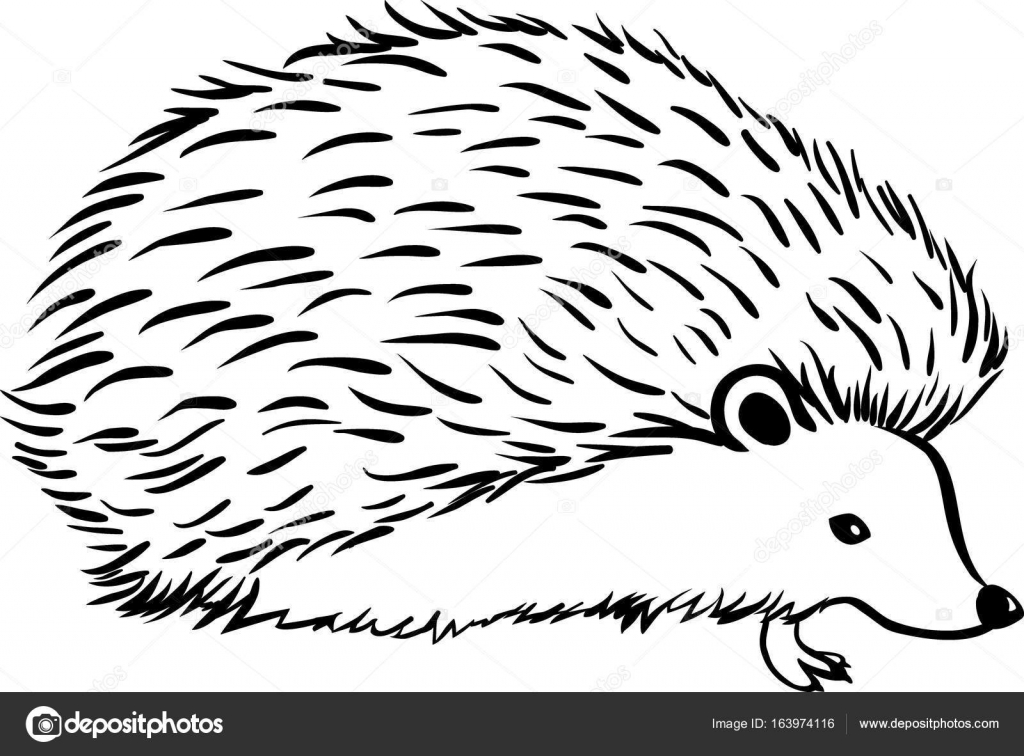 depositphotos 163974116 stock illustration hedgehog stylization icon logo line