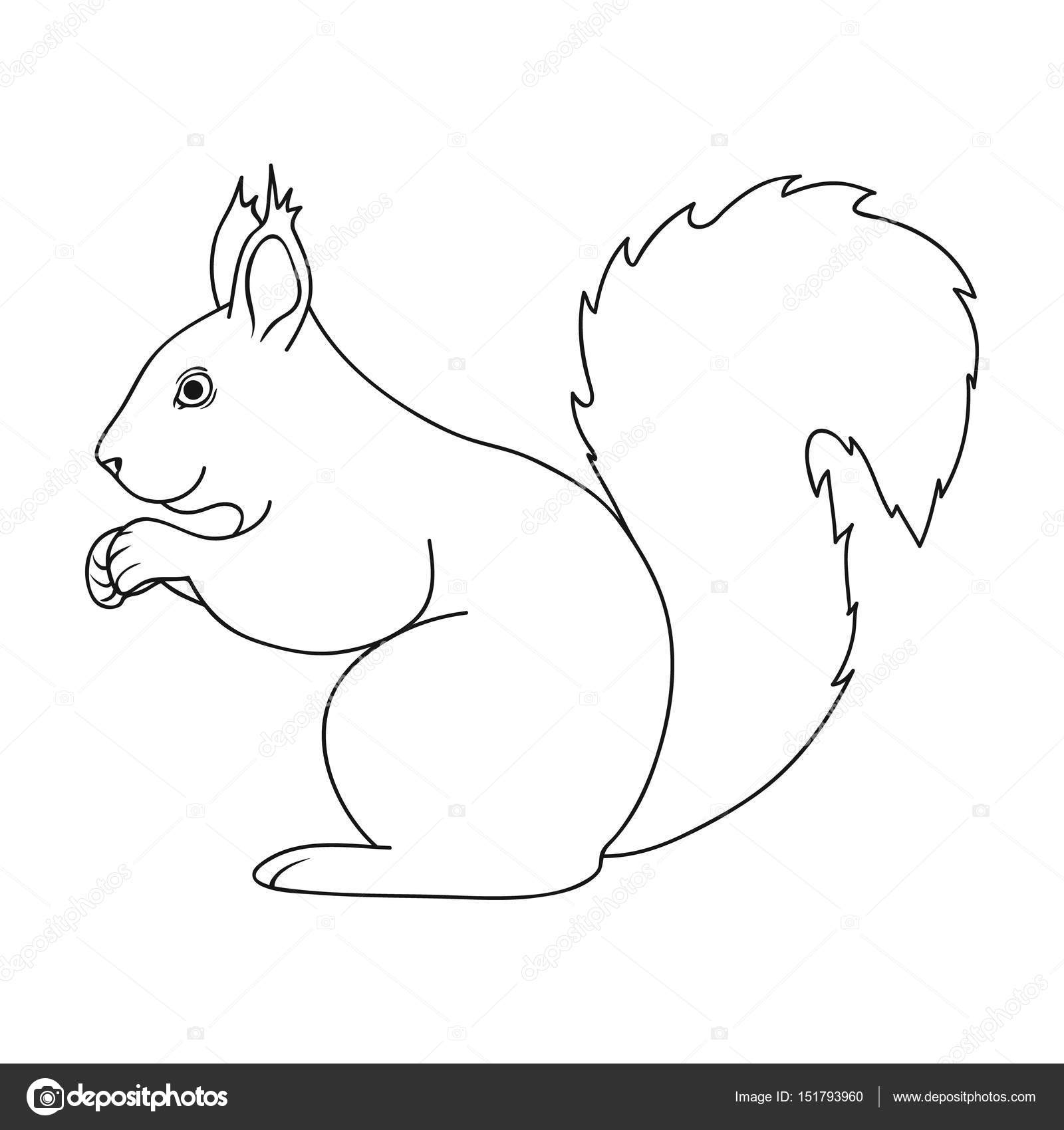 depositphotos 151793960 stock illustration squirrel animals single icon in