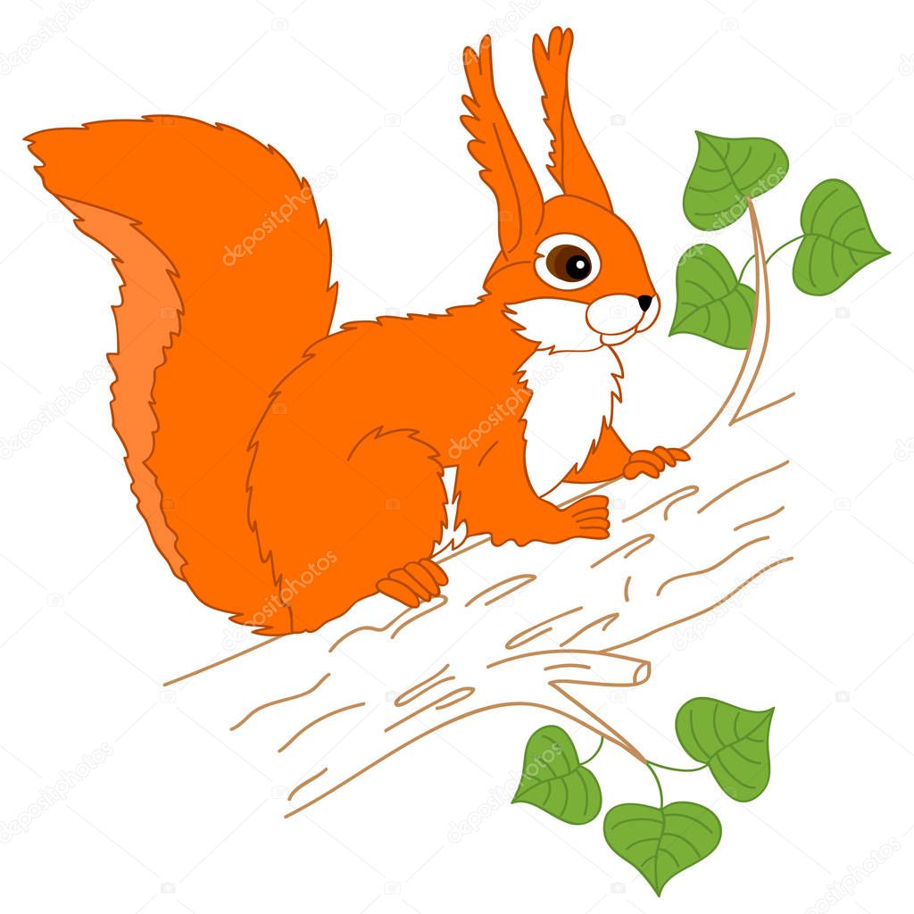 depositphotos 154545772 stock illustration vector squirrel sitting on the