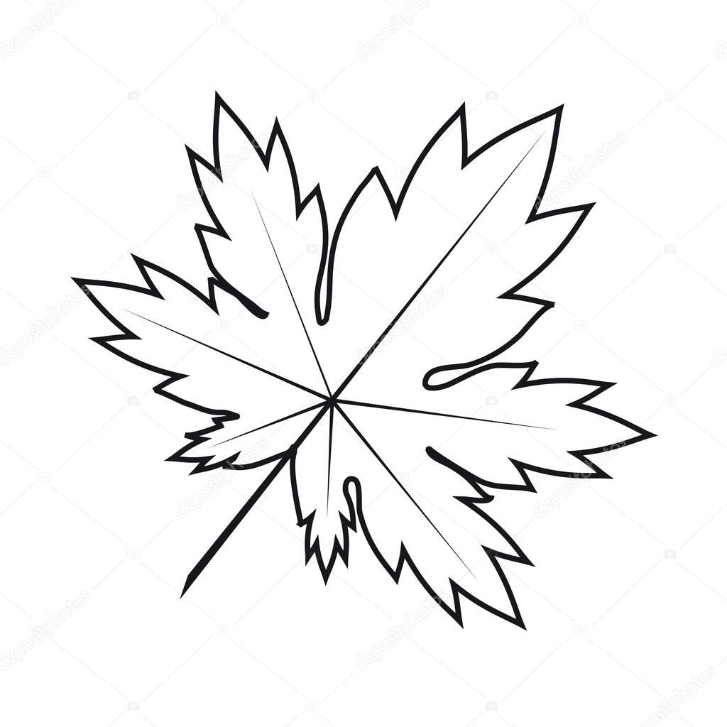 depositphotos 158381590 stock illustration maple leaf outline icon white