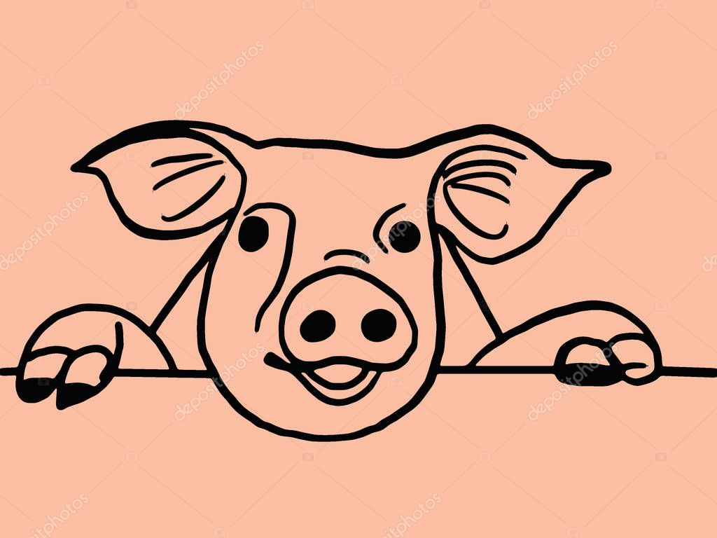 Просто свинка. Череп свиньи рисунок. Как рисовать свинью. Череп свиньи рисунок цветными карандашами. Как можно нарисовать свинину.