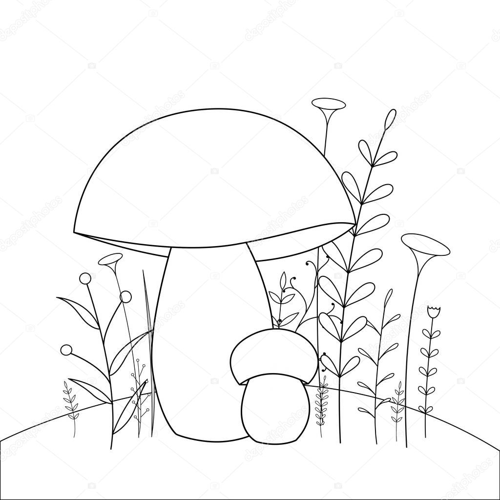Рисунок гриба Боровика для детей раскраска