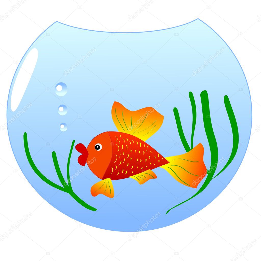 Тема рыбки в аквариуме