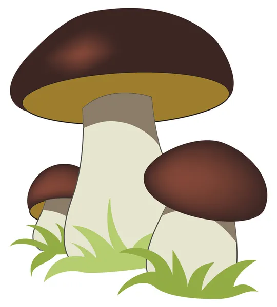 depositphotos 2578664 stock illustration ceps