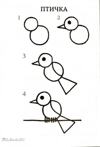 Рисовать птичку поэтапно для детей