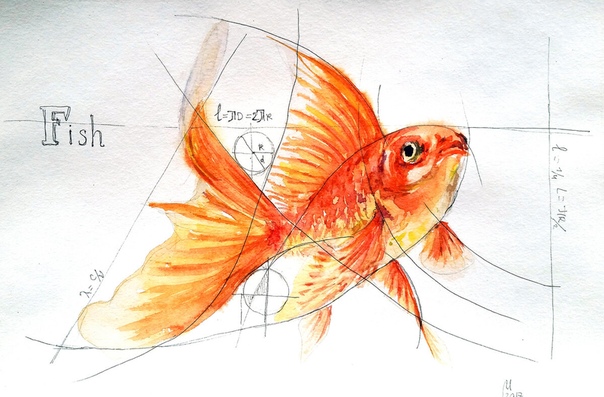 Как нарисовать золотую рыбку легко