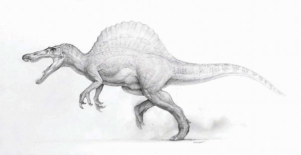 Как нарисовать тираннозавра поэтапно
