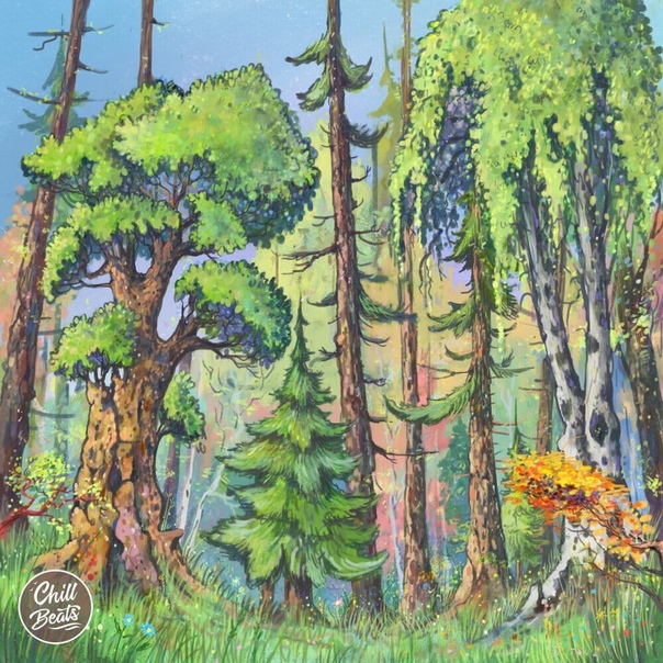 Рисунки с лесом