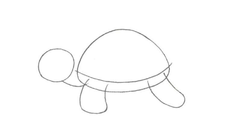 Черепаха средняя группа. Поэтапное рисование черепахи. Поэтапное рисование черепахи для дошкольников. Рисование черепаха в старшей группе. Рисование черепаха в подготовительной группе.